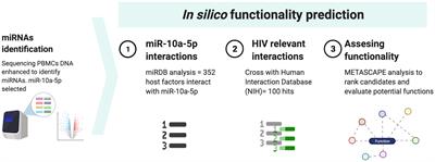 Selective miRNA inhibition in CD8+ cytotoxic T lymphocytes enhances HIV-1 specific cytotoxic responses